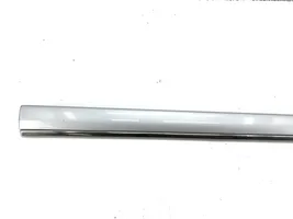 Mercedes-Benz S W220 Front door trim (molding) A2206900562