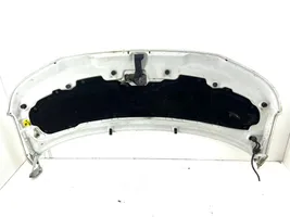 Volkswagen Transporter - Caravelle T5 Engine bonnet/hood 