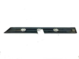 Mercedes-Benz C W203 Rivestimento portiera posteriore (modanatura) A2036905262