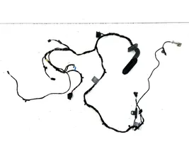 BMW X5 E70 Front door wiring loom 9116974