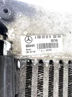 Mercedes-Benz Vito Viano W639 Комплект радиатора A6395010401