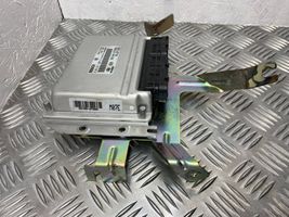 Hyundai Tucson JM Sterownik / Moduł ECU 3910427260