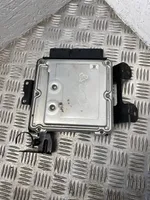 KIA Sorento Sterownik / Moduł ECU 391012F020