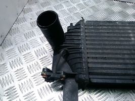 Nissan Pathfinder R51 Radiatore intercooler 14461EB360