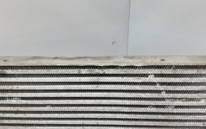 Land Rover Range Rover Sport L320 Starpdzesētāja radiators AH329L440AB