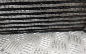 Land Rover Range Rover Sport L320 Starpdzesētāja radiators AH329L440AB