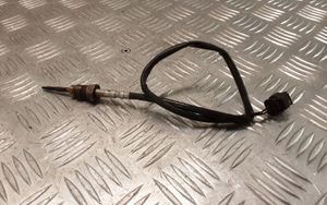 BMW 1 E82 E88 Exhaust gas temperature sensor 7806254