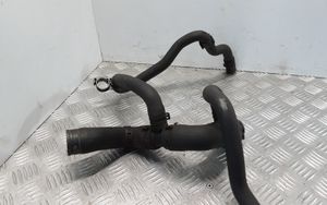 Volkswagen PASSAT B6 Engine coolant pipe/hose 3C0122063J