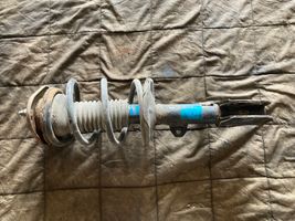 Toyota Corolla Verso E121 Front shock absorber with coil spring 