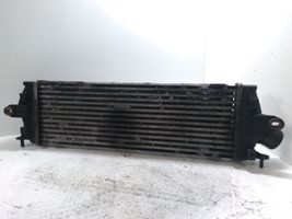 Nissan Primastar Chłodnica powietrza doładowującego / Intercooler 820041160C