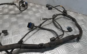 Renault Latitude (L70) Other wiring loom 