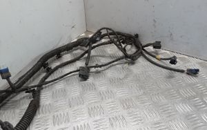 Renault Latitude (L70) Other wiring loom 