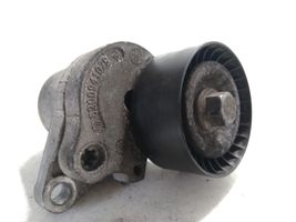 Renault Latitude (L70) Napinacz paska alternatora 8200941079