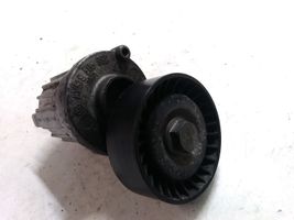 Volkswagen Golf VI Napinacz paska alternatora 038903315AJ