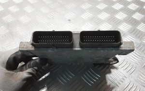 Toyota Prius (XW20) Module d'unité de contrôle GPL 67R010249