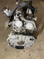 Honda Accord Engine N22B1