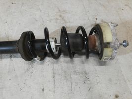 Audi A4 S4 B9 Front shock absorber with coil spring 8W0031T