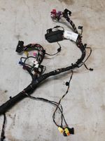 Audi A4 S4 B9 Dashboard wiring loom 8W2970012