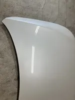 Renault Latitude (L70) Engine bonnet/hood 