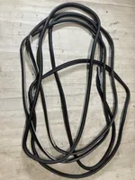 Renault Latitude (L70) Front door rubber seal 