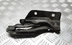 Mercedes-Benz B W245 Engine bonnet/hood hinges A1698800328