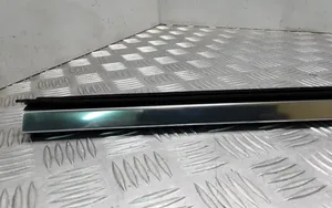 BMW 7 F01 F02 F03 F04 Guarnizione in gomma finestrino/vetro portiera posteriore 7206449