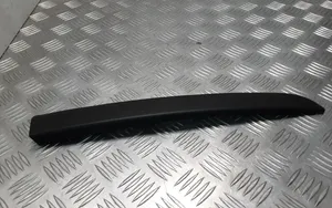 BMW 7 F01 F02 F03 F04 Rear door glass trim molding 51359141423