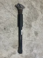 BMW X1 F48 F49 Rear shock absorber/damper 6861670