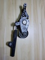 Seat Leon (1M) Tendicinghia dell’alternatore 950434