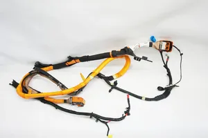 Renault Clio V Other wiring loom 297a25555r