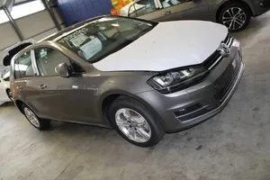 Volkswagen Golf VII Serbatoio a carbone attivo per il recupero vapori carburante 5Q0201797F