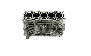 Volvo S80 Motorblock D5244T