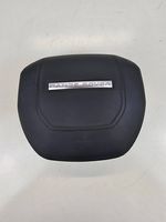 Land Rover Range Rover Evoque L538 Airbag dello sterzo 