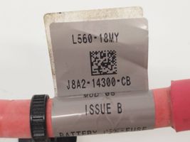 Audi Q3 8U Cable positivo (batería) J8A214300CB