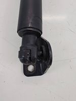 Ford Edge II Tailgate strut Ft4br402a74ab