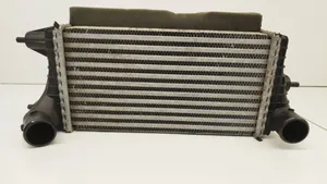 Suzuki Baleno IV Intercooler radiator Y697001