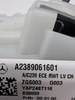 Mercedes-Benz E W238 Galinis žibintas dangtyje A2389061601