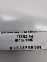 Toyota RAV 4 (XA50) Airbag da tetto 641667400K