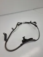 Lexus RX 450H Câblage / faisceau de câbles 8282178030