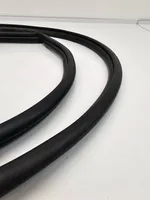 Toyota RAV 4 (XA50) Front door rubber seal 