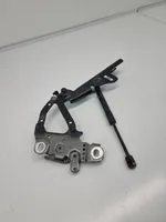 BMW 3 F30 F35 F31 Cerniere del vano motore/cofano 13989610