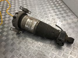 Audi Q7 4L Ammortizzatore/sospensione pneumatica 7L8616020C