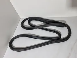 BMW 7 F01 F02 F03 F04 Rear door rubber seal (on body) 4445361