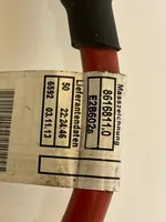 BMW 1 F20 F21 Cable positivo (batería) 8616810