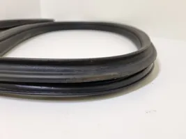 BMW 1 E82 E88 Rubber seal front coupe door 7164994