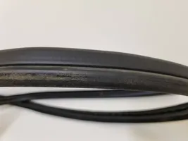 BMW 1 E82 E88 Front door rubber seal 7164993