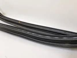 BMW 1 E82 E88 Front door rubber seal 7164993