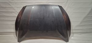 Ford Focus Engine bonnet/hood 