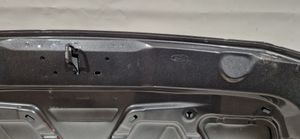 Ford Focus Engine bonnet/hood 