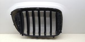 BMW X3 G01 Maskownica / Grill / Atrapa górna chłodnicy 8091725